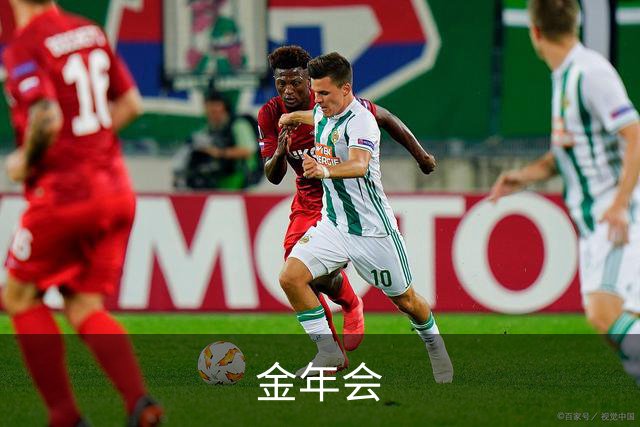 金年会公司简介